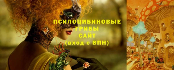 дживик Алексин